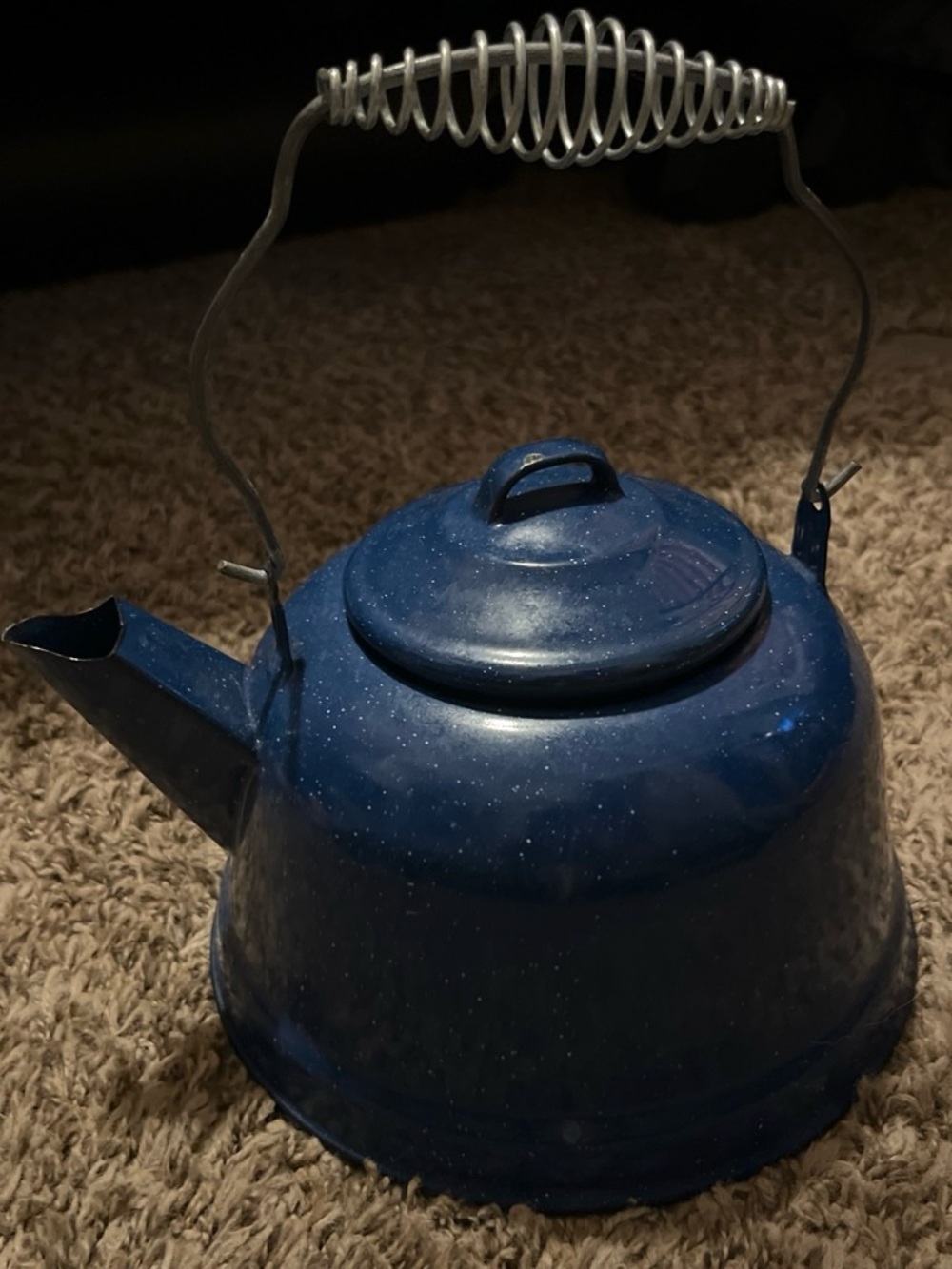 Blue Enamel Tea Kettle with Spring Handle